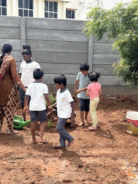Greenovation Club - Activities 2024