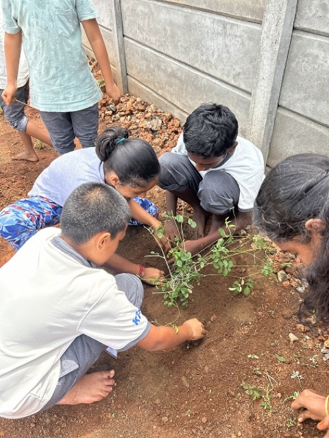 Greenovation Club - Activities 2024