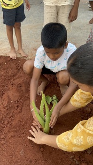 Summer camp day 6 - Activities 2024