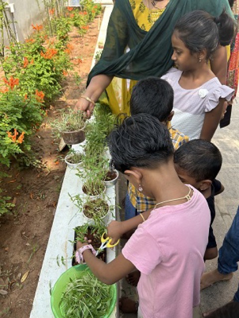 Summer Camp Day 8 - Activities 2024