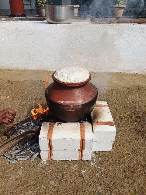 Pongal Celebration - Events 2022